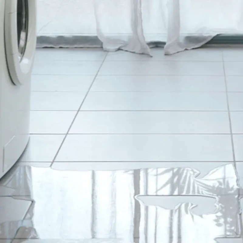 Appliance Leak Cleanup in Shady Spring, WV