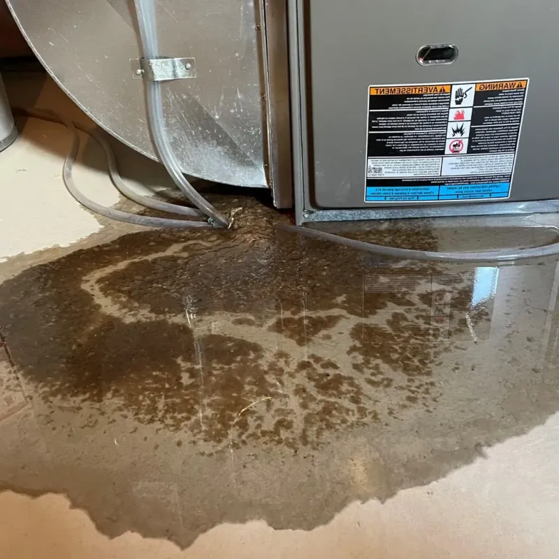 Pipe Burst and Leak Restoration in Shady Spring, WV