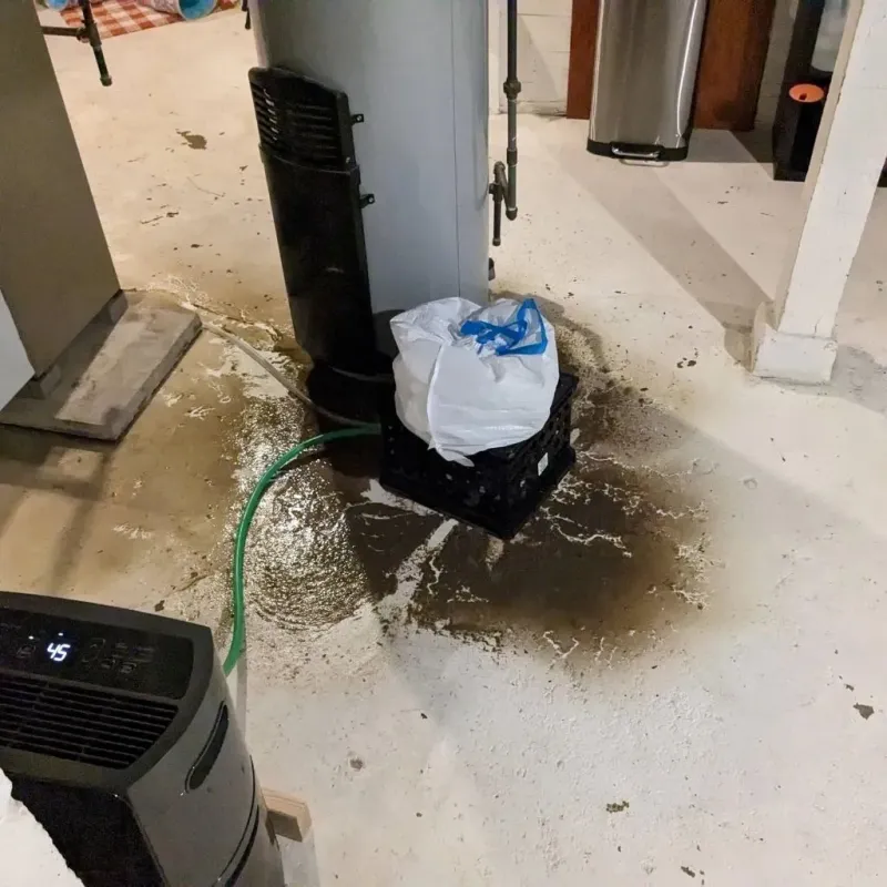 Sewage Backup Cleanup Service in Shady Spring, WV